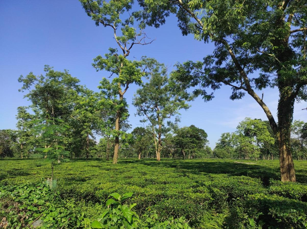 Manas Green Home Stay Jyoti Gaon Exterior foto